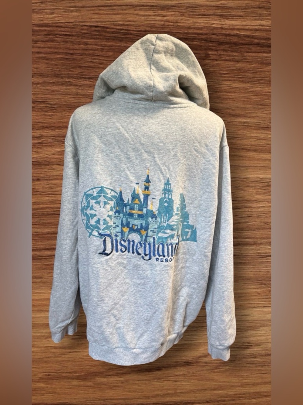 DisneyParks Disneyland Resort Park Icons Gray Zip Hoodie Adult Size XL